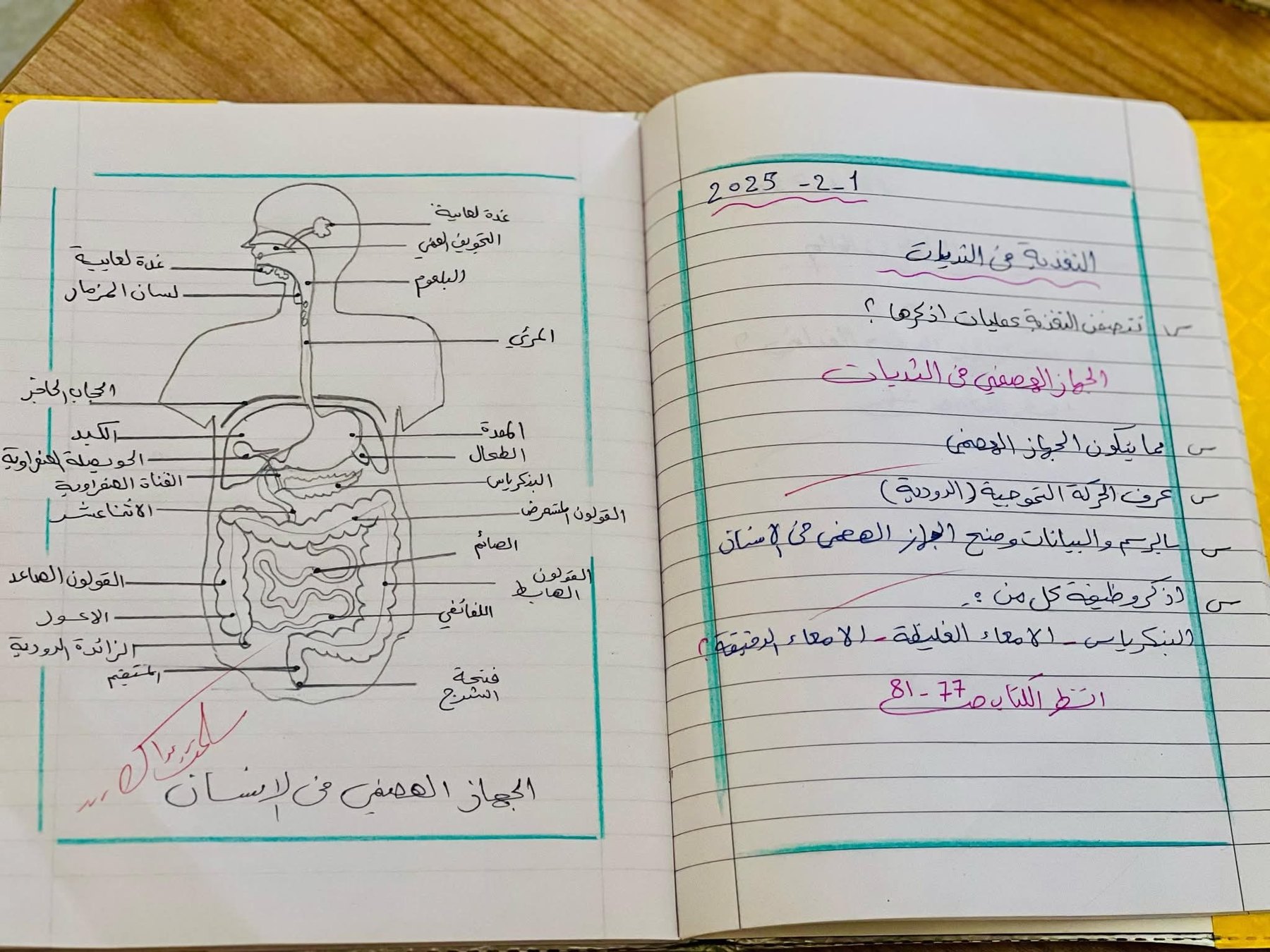 المرافق واللوحات الإرشادية